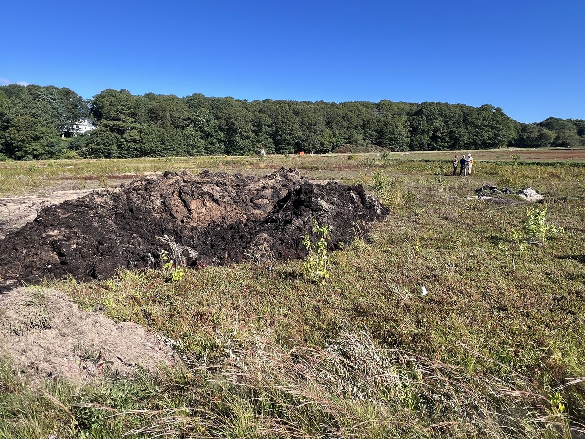 Excavated peat and sand from pond