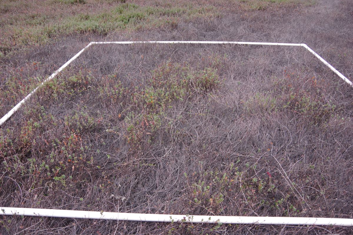 Plot 1505