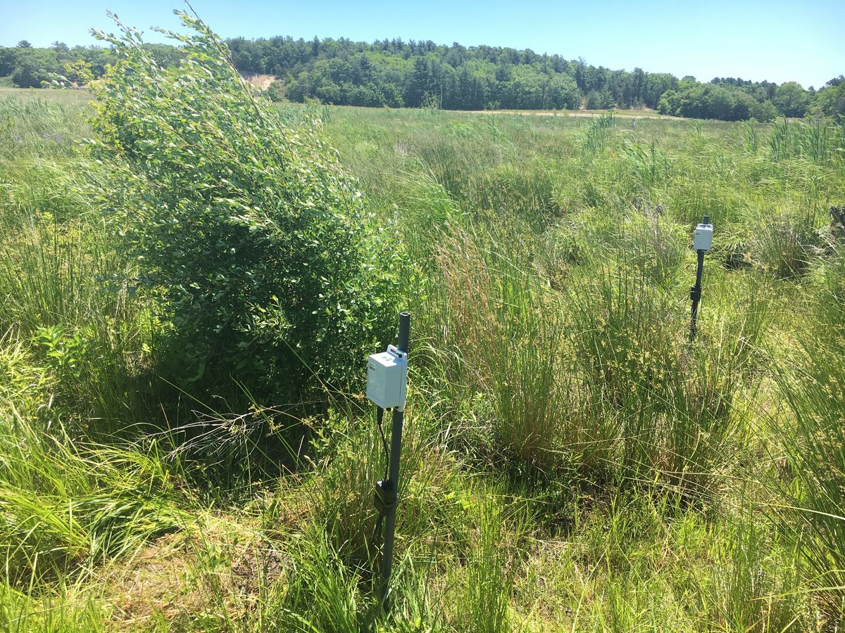 Sensors around the central stream site at Tidmarsh.