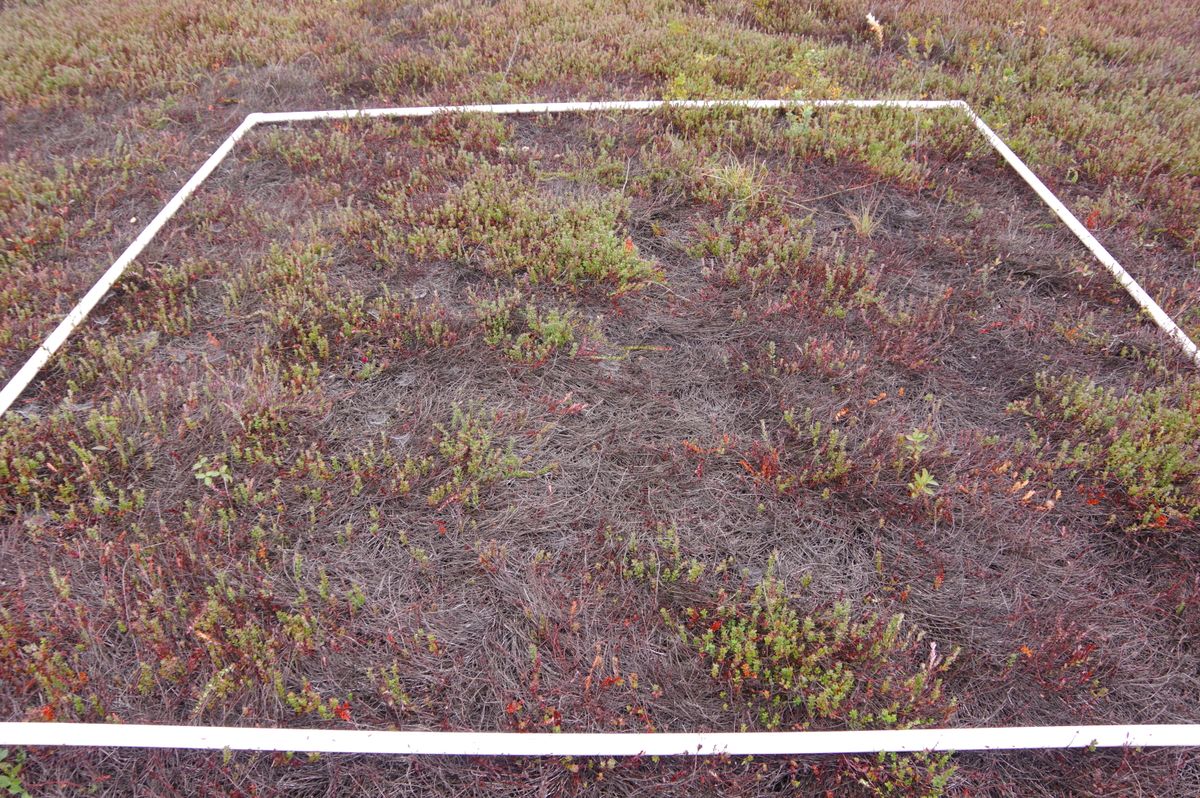 Plot 1608