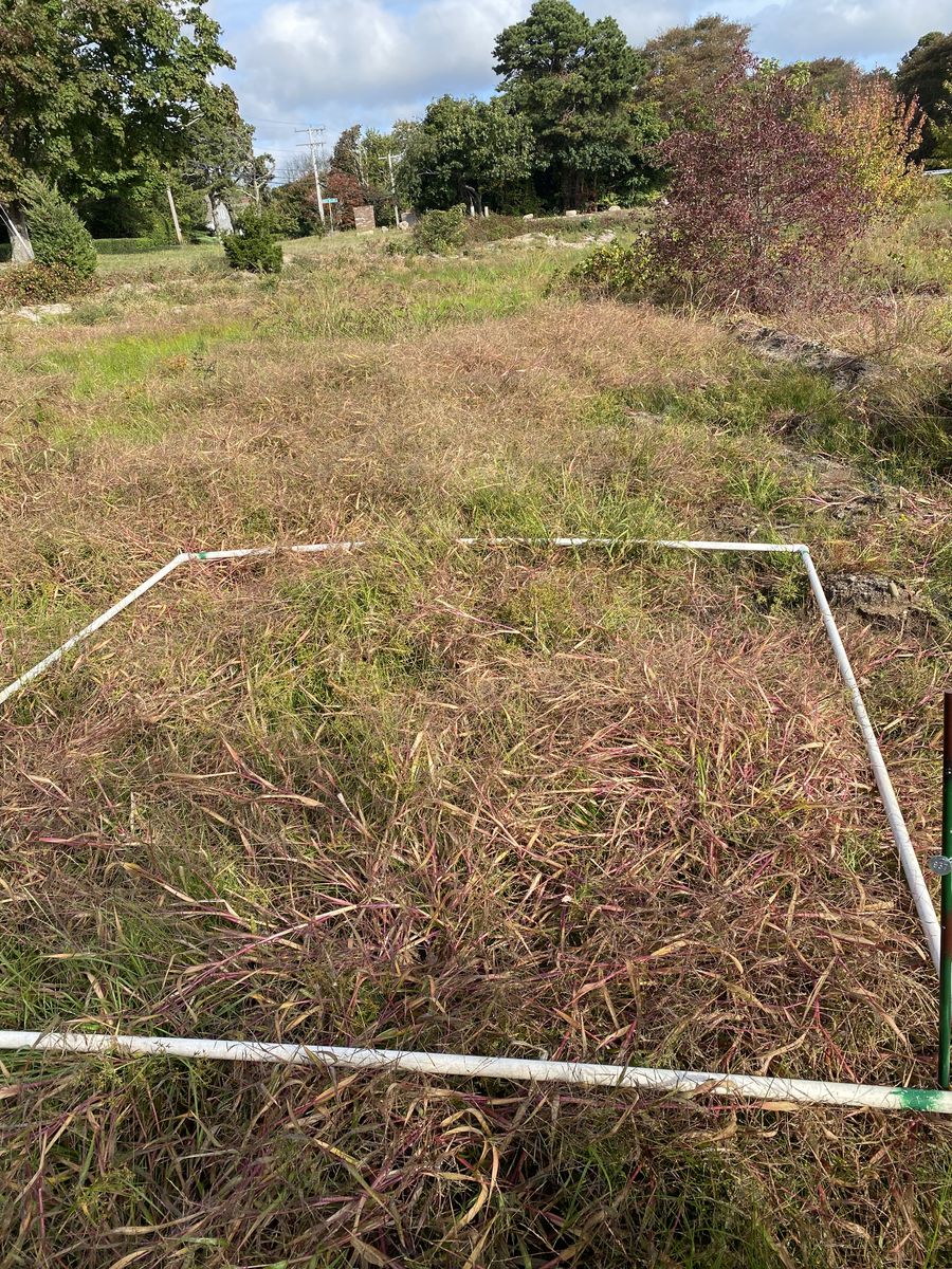 Plot 937