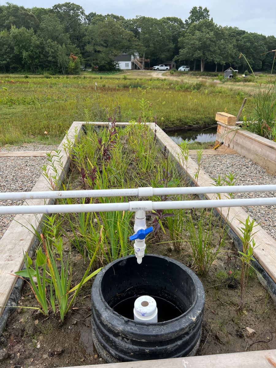 Mesocosm - wetland