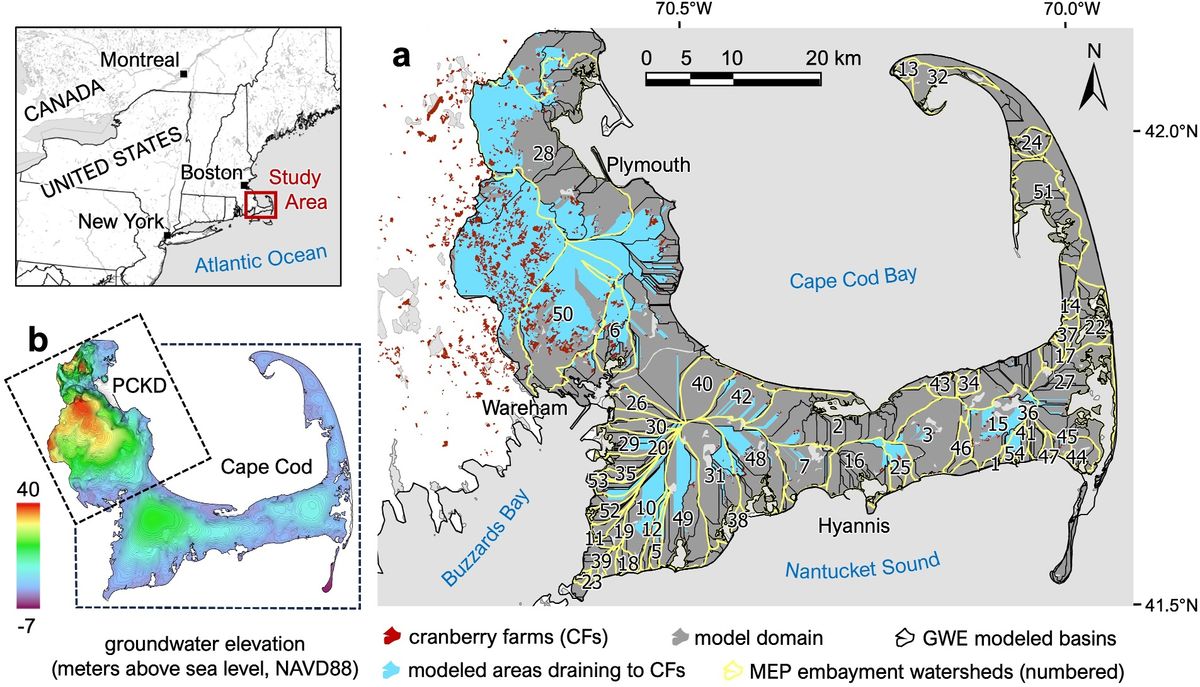 Figure 1  in Wiegman, A. R. H., Kennedy, C. D., Neill,
C., Jakuba, R. W., Welsh, M. K., Millar,
D., & Buda, A. (2025). Modeling
attenuation of nitrogen loads delivered to
coastal bays from ecological restoration of
cultivated wetlands. Journal of
Geophysical Research: Biogeosciences,
130, e2025JG008742. https://doi.org/10.
1029/2025JG008742