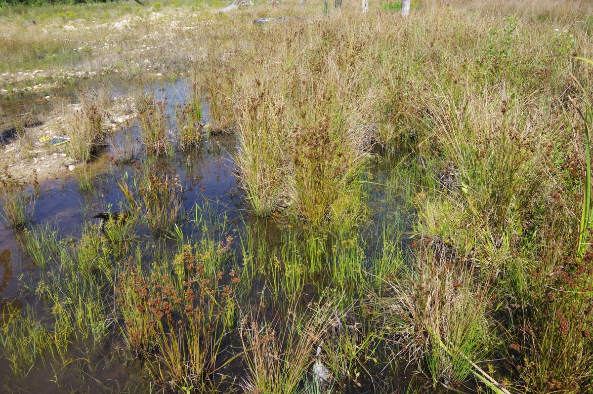 Middle Coonamessett 314 2021