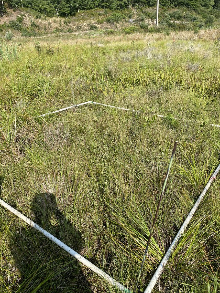 Plot 505