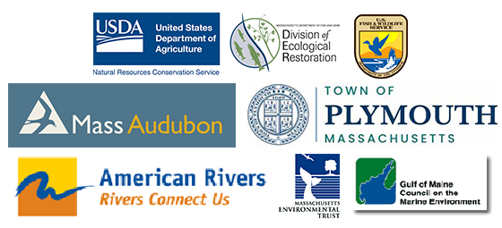 Some of the organizations that funded the Tidmarsh restoration
