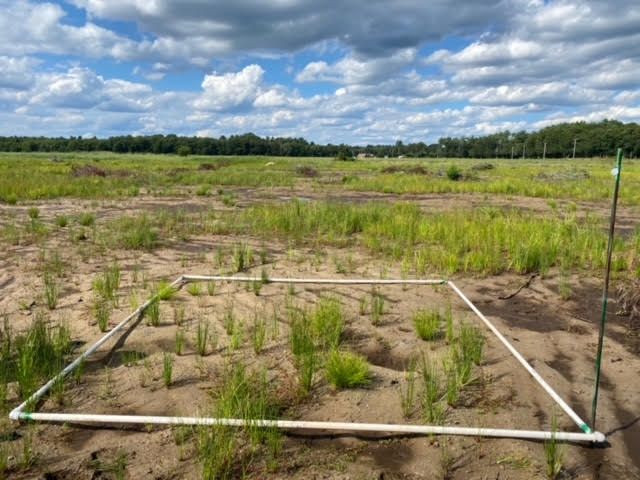 Plot 1215
