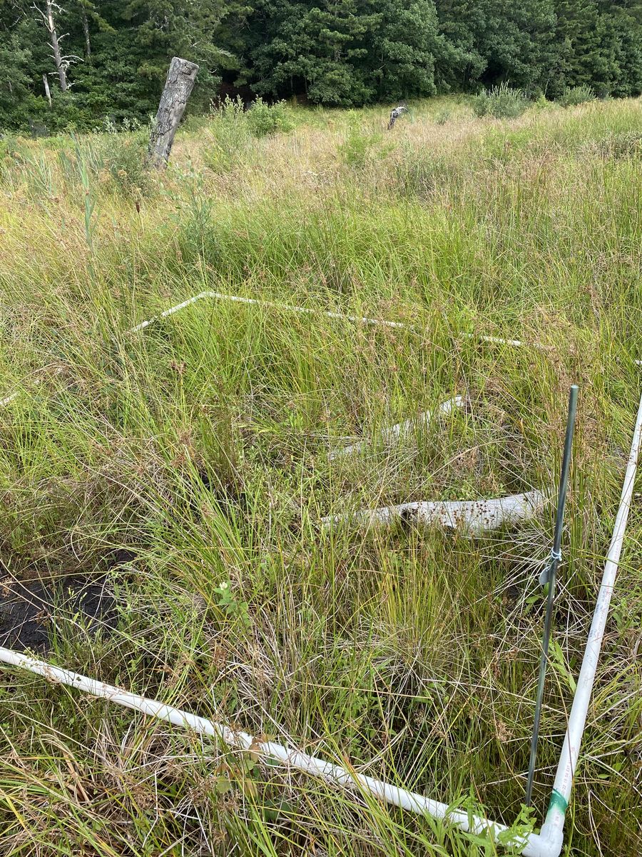 Plot 405