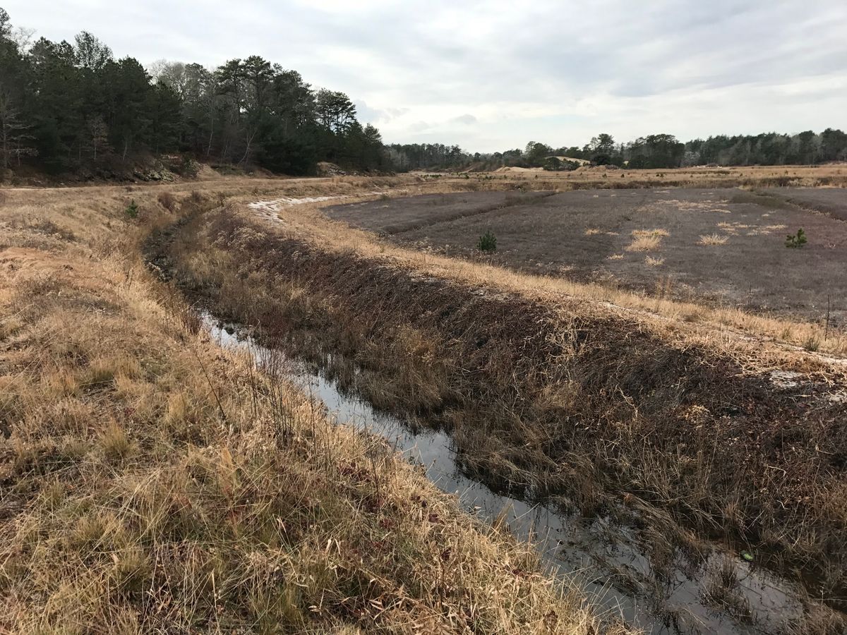 Incised channel and degraded wetlands