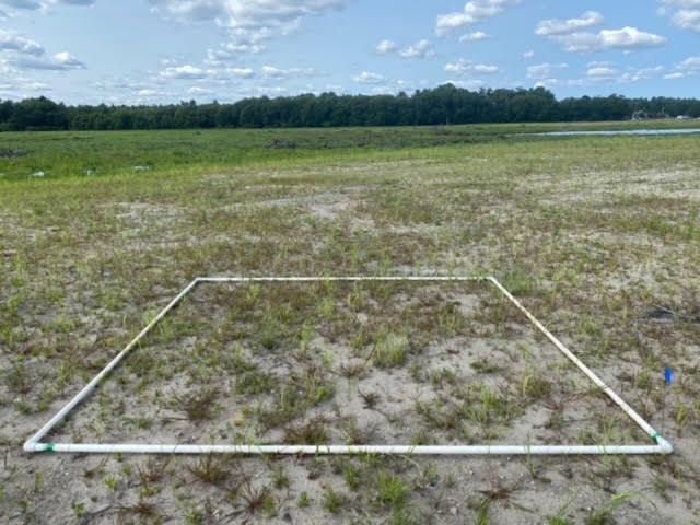 Plot 1229