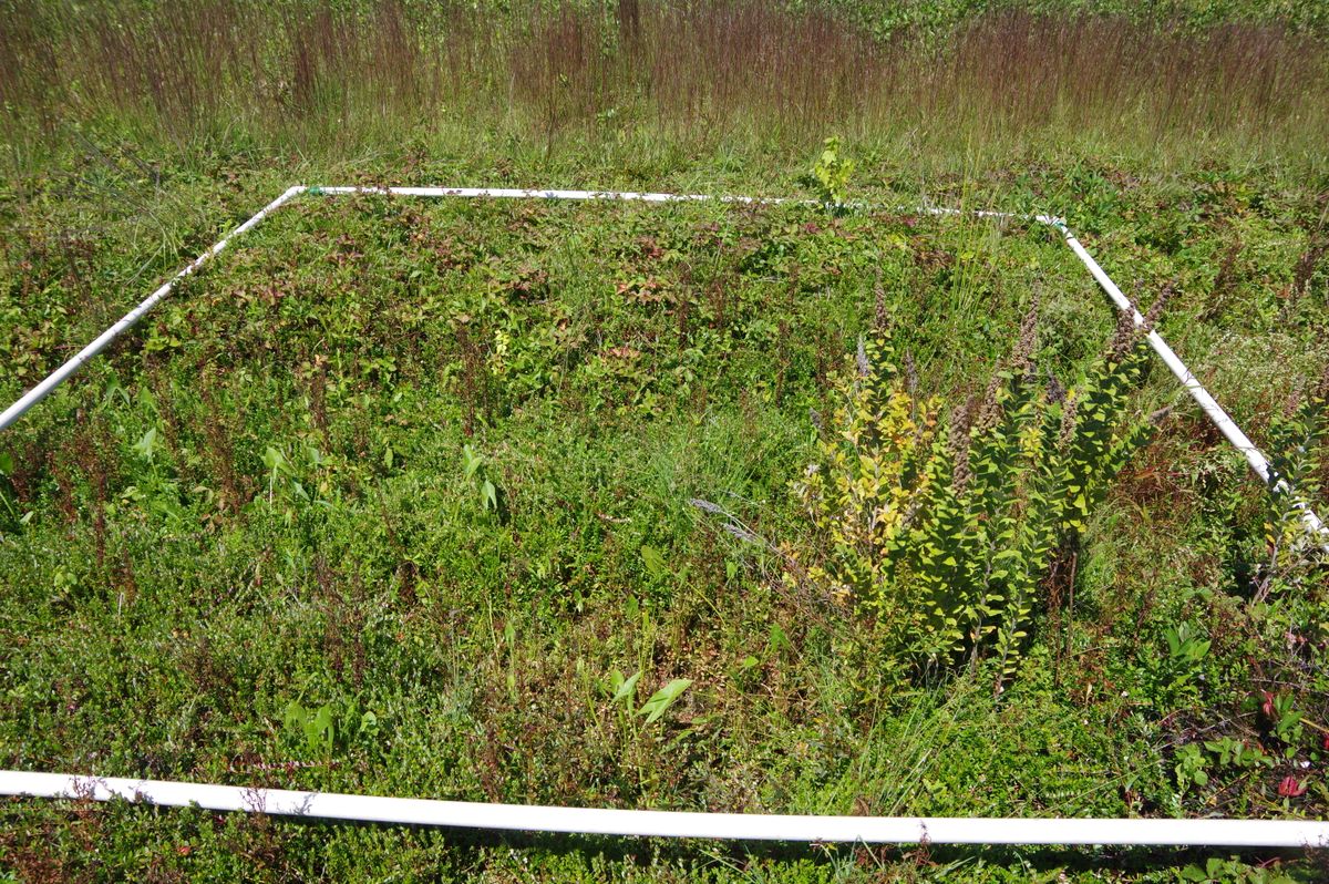 Plot 1805