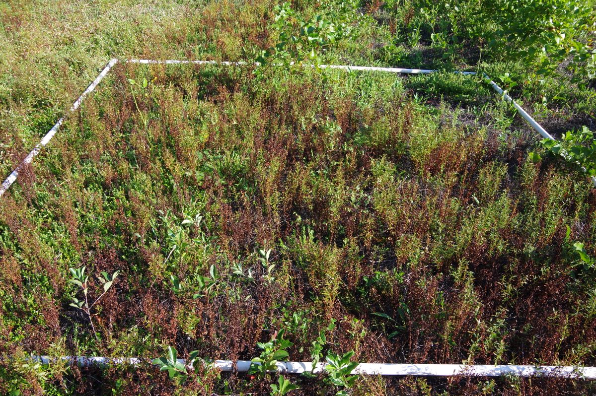 Plot 1801