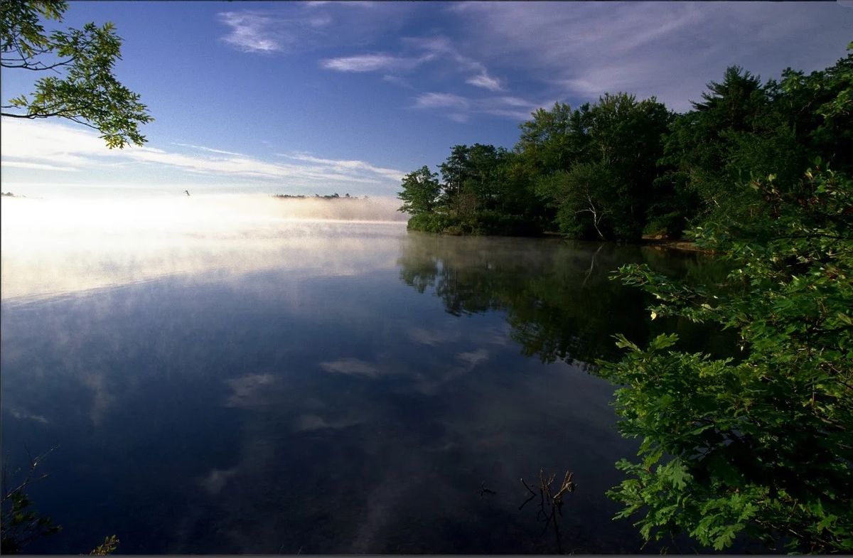 Halfway Pond Conservation Area, Wildlands Trust 