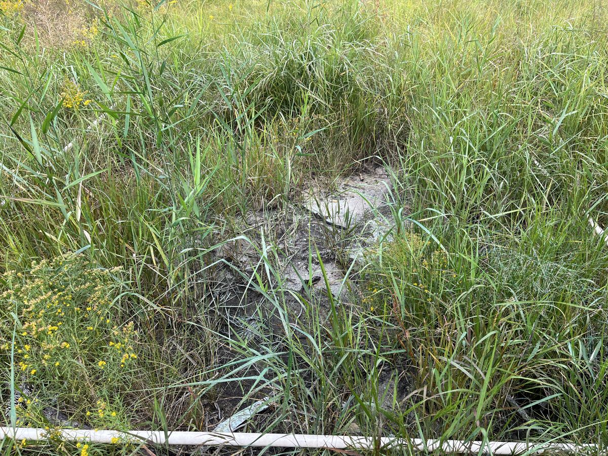 Plot 912 IMG 6661