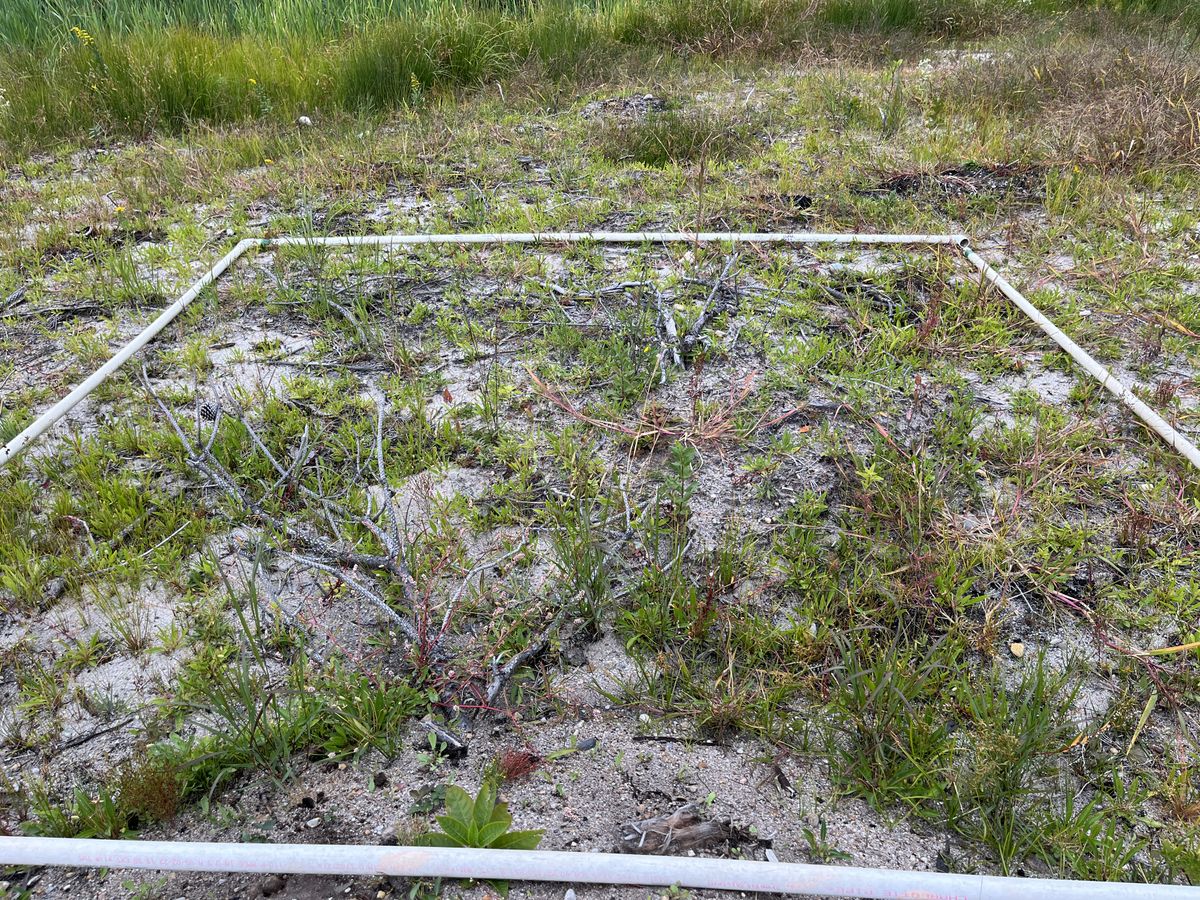 Plot 906 IMG 6691