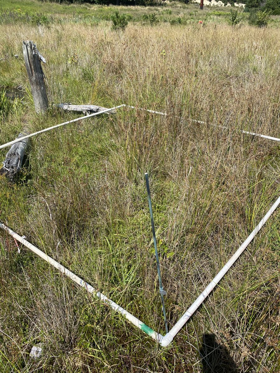 Plot 541