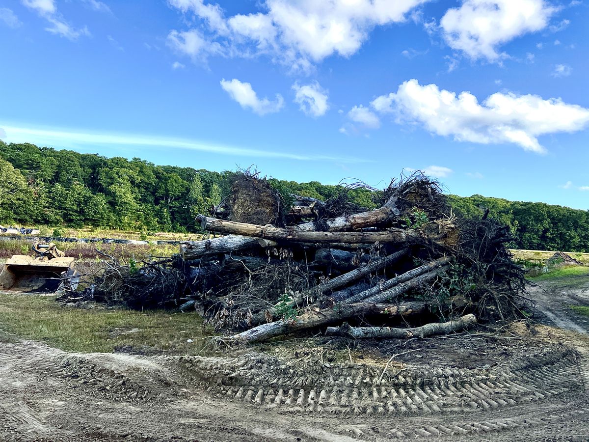 Stack of large wood 