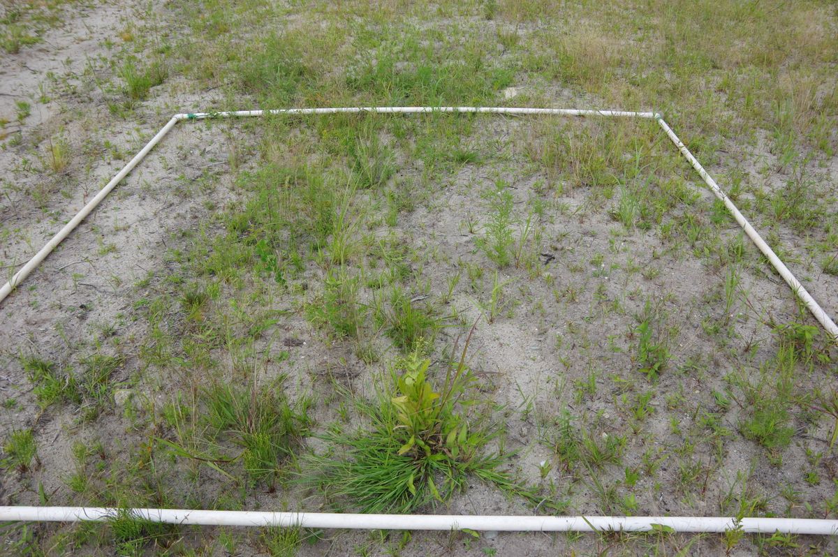 Plot 1238