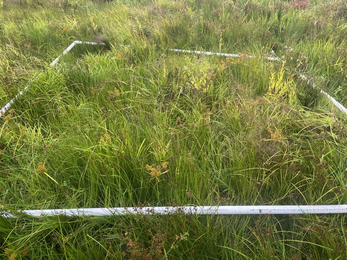 Plot 1127 IMG 6604