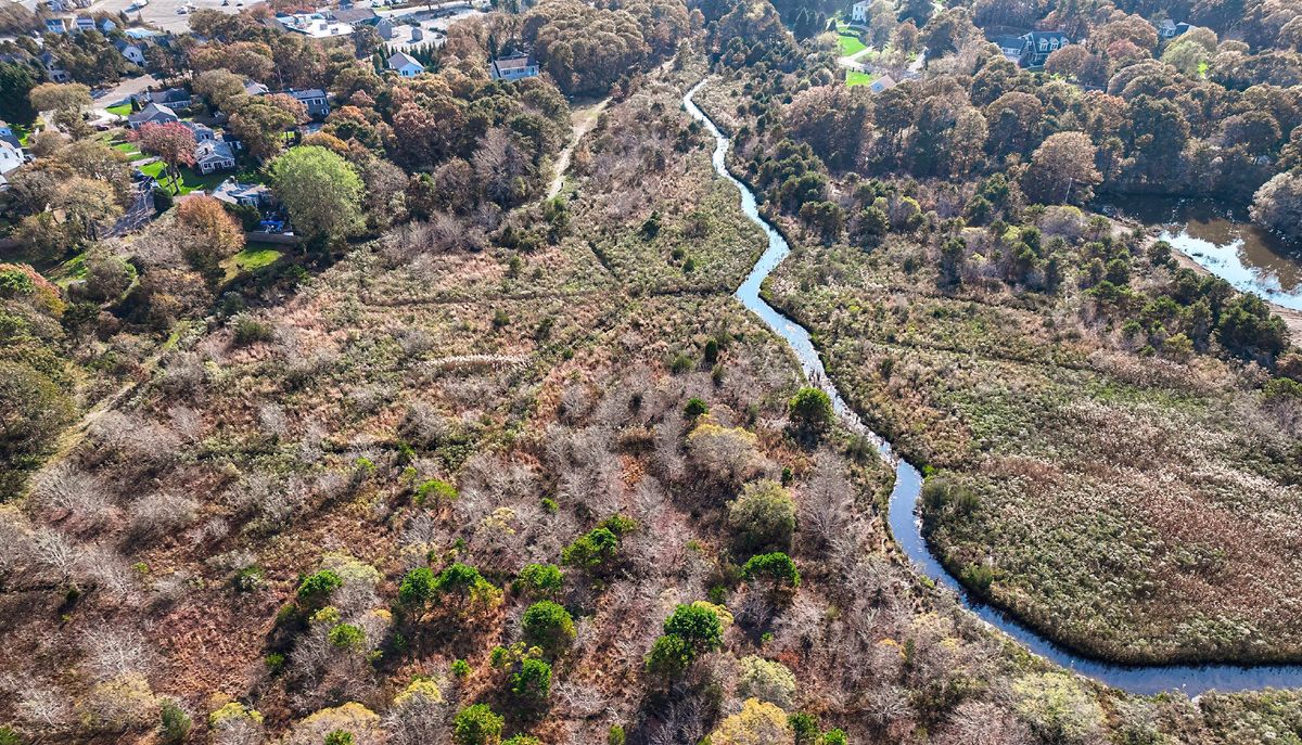 September 2023: Pre-Construction Photograph of Cell 8 (area slated for near term marsh migration), looking south (downstream)
