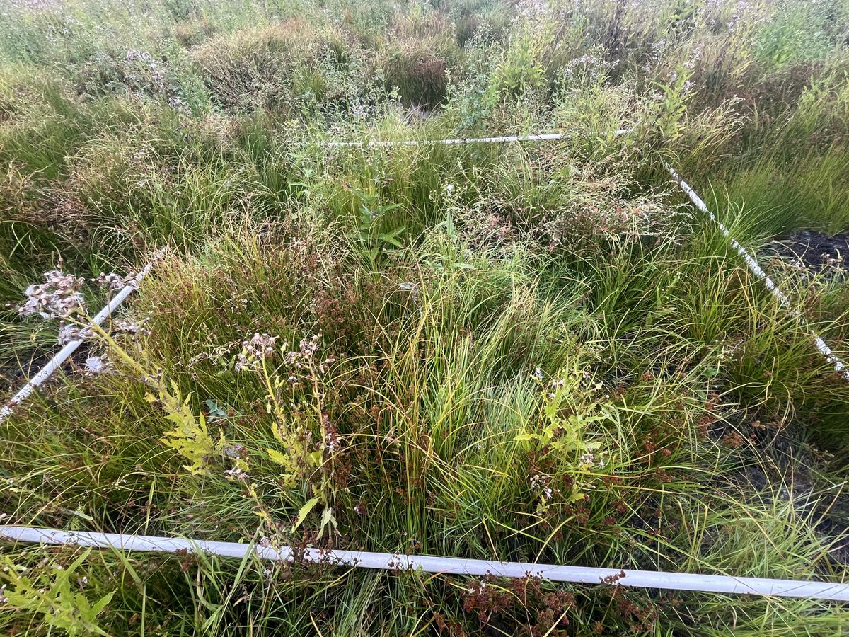 Plot 1111 photo