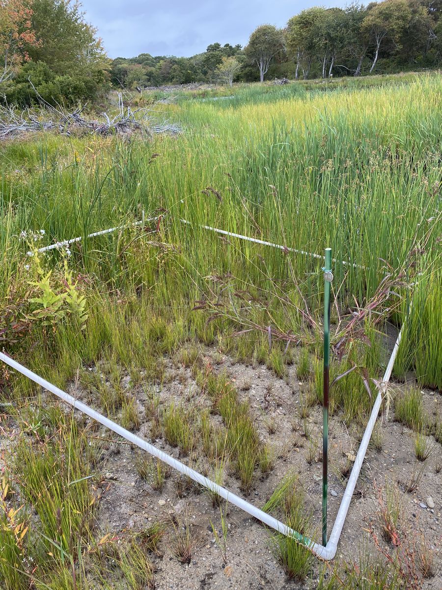 Plot 910