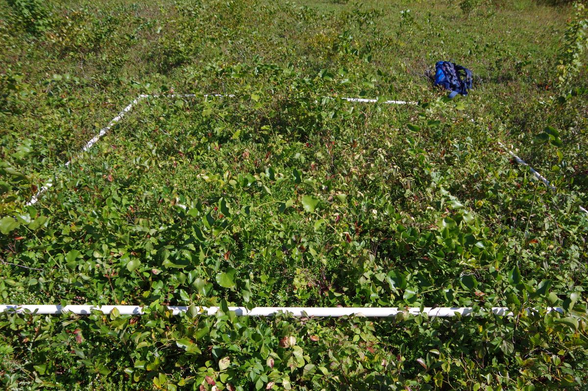 Plot 1810