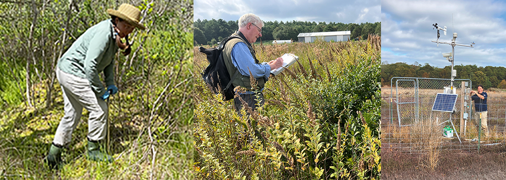 Kate Ballantine, Chris Neill, and Christine Hatch in the field