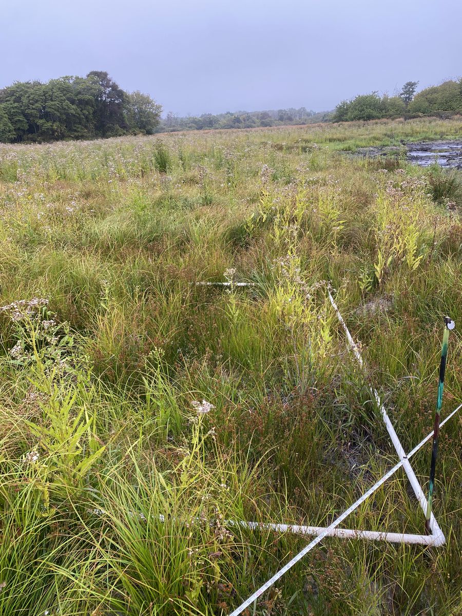 Plot 1112 photo