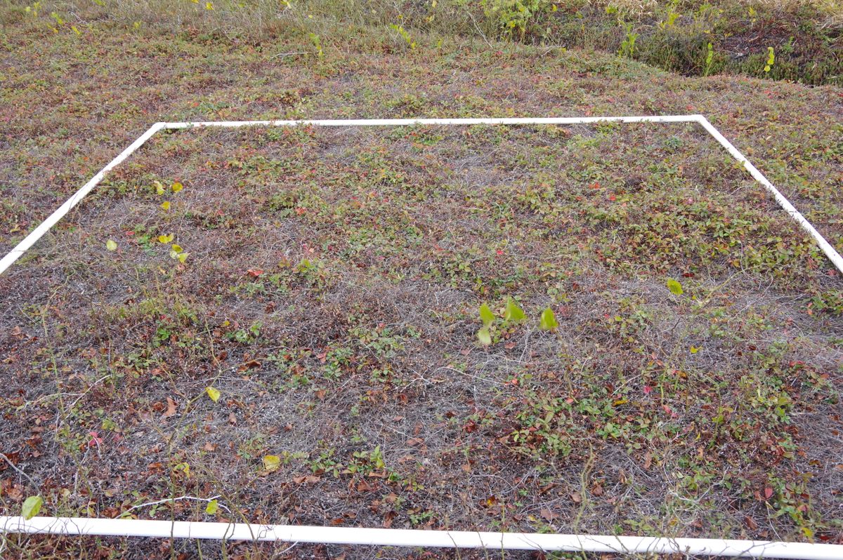 Plot 1403