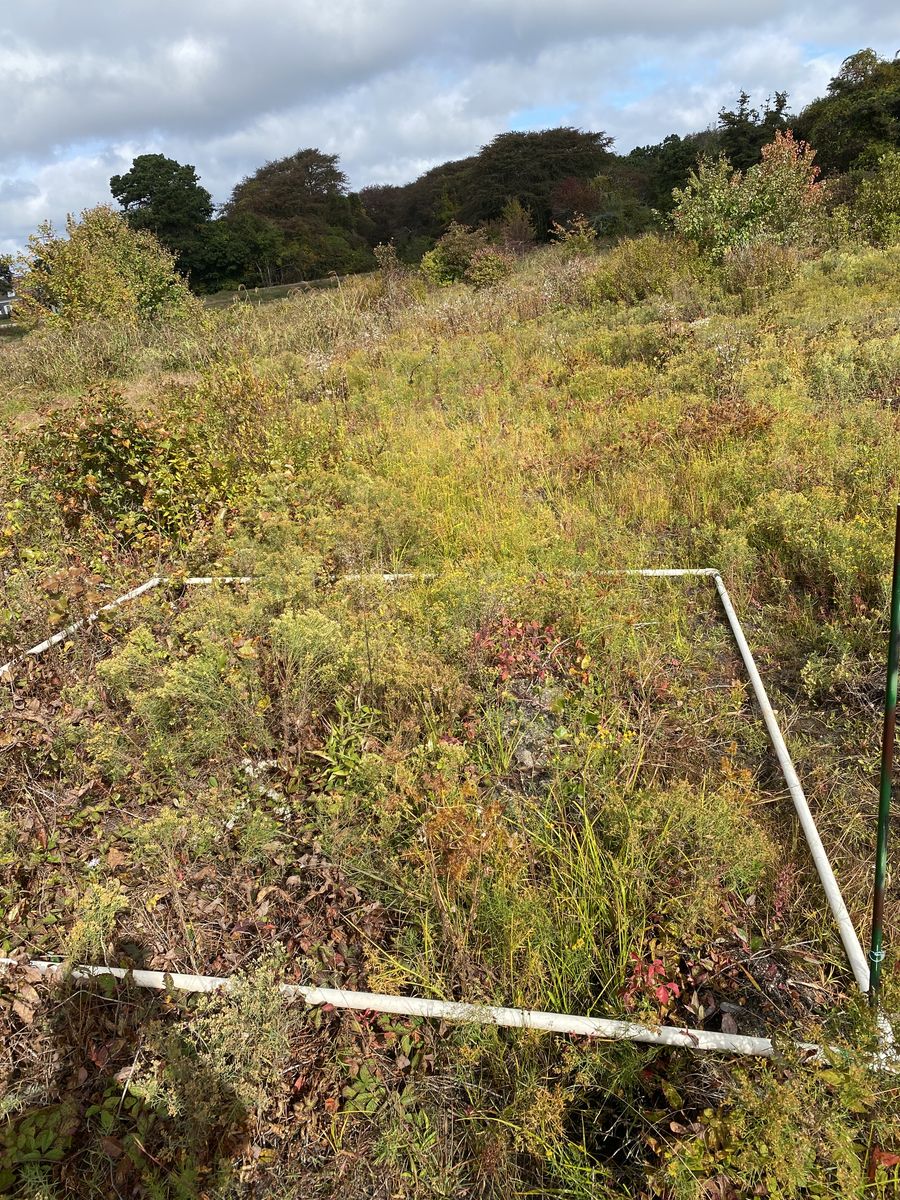 Plot 935