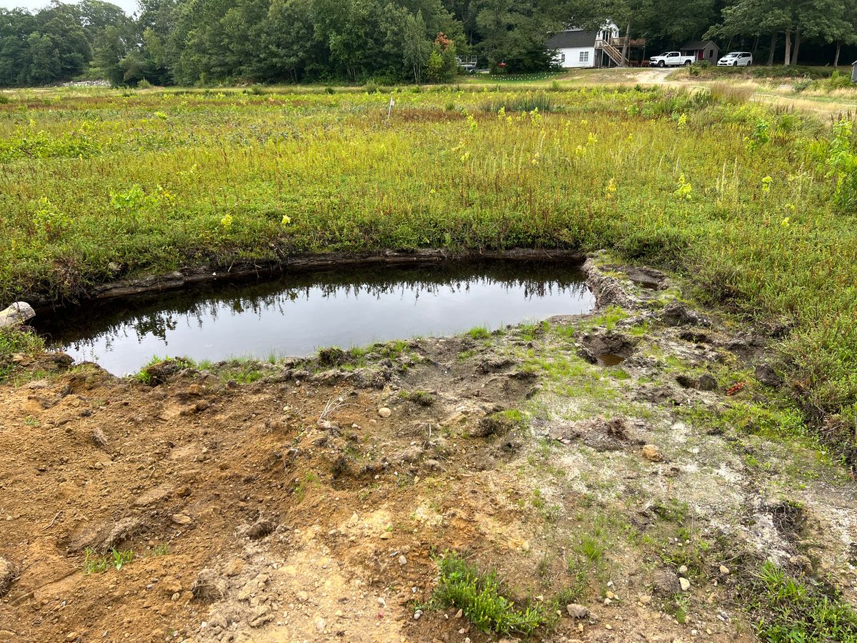 Ponded groundwater