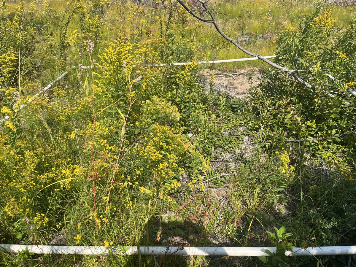 Plot 916 IMG 6536