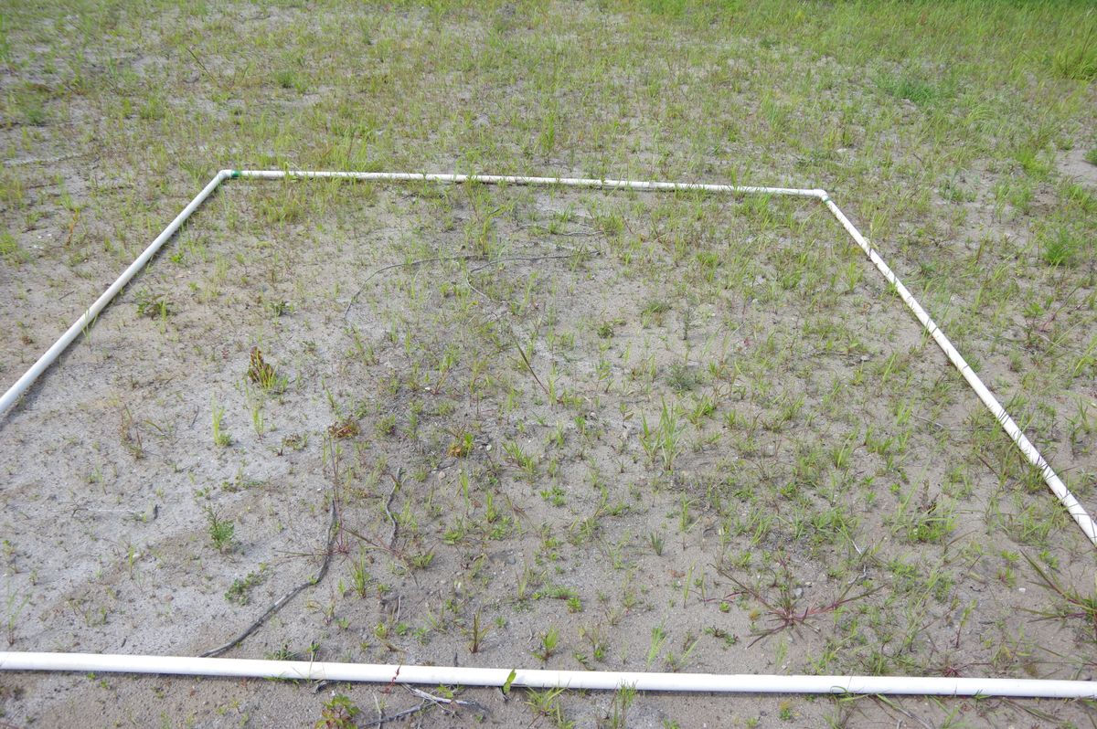 Plot 1226