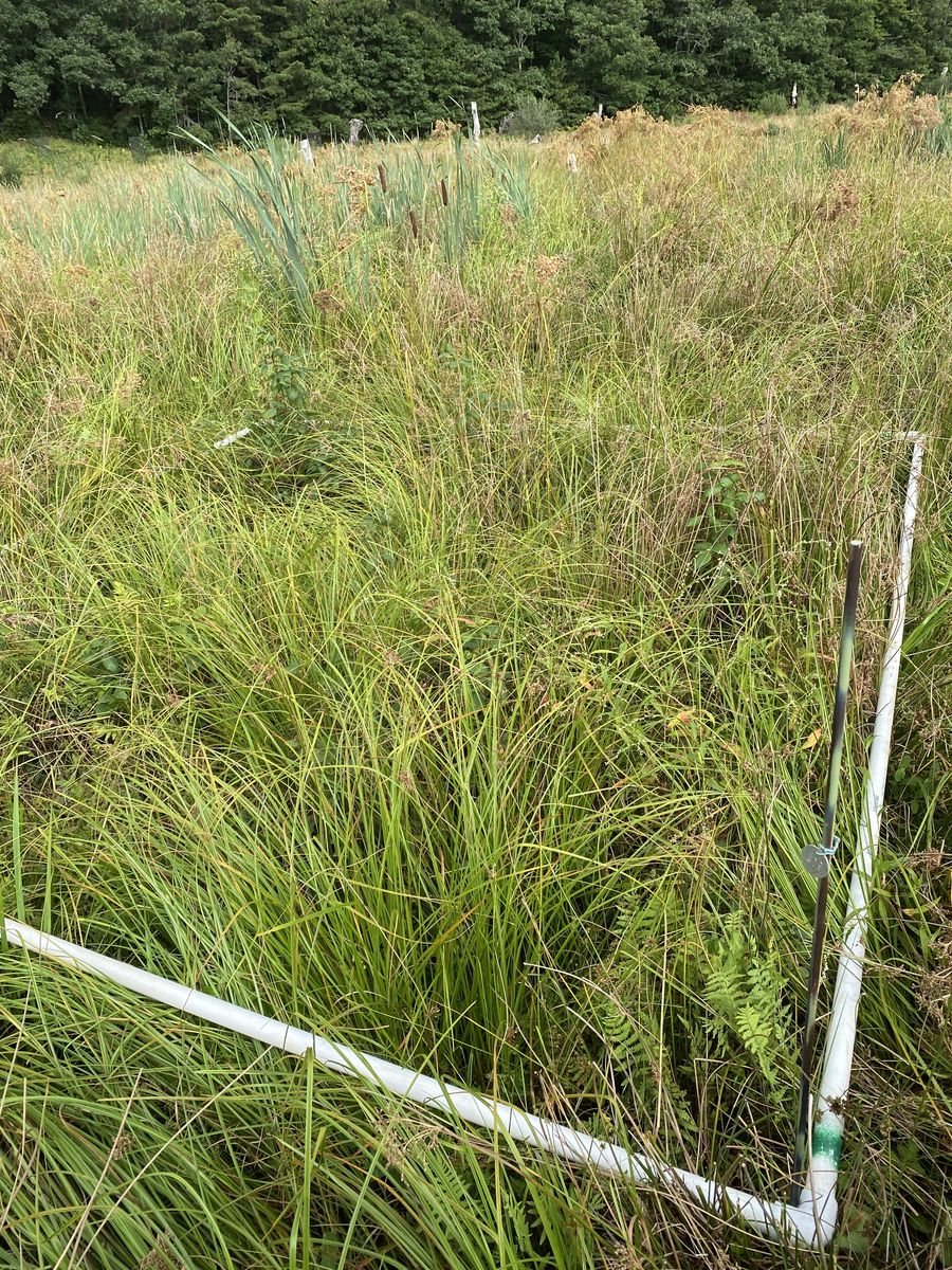 Plot 409