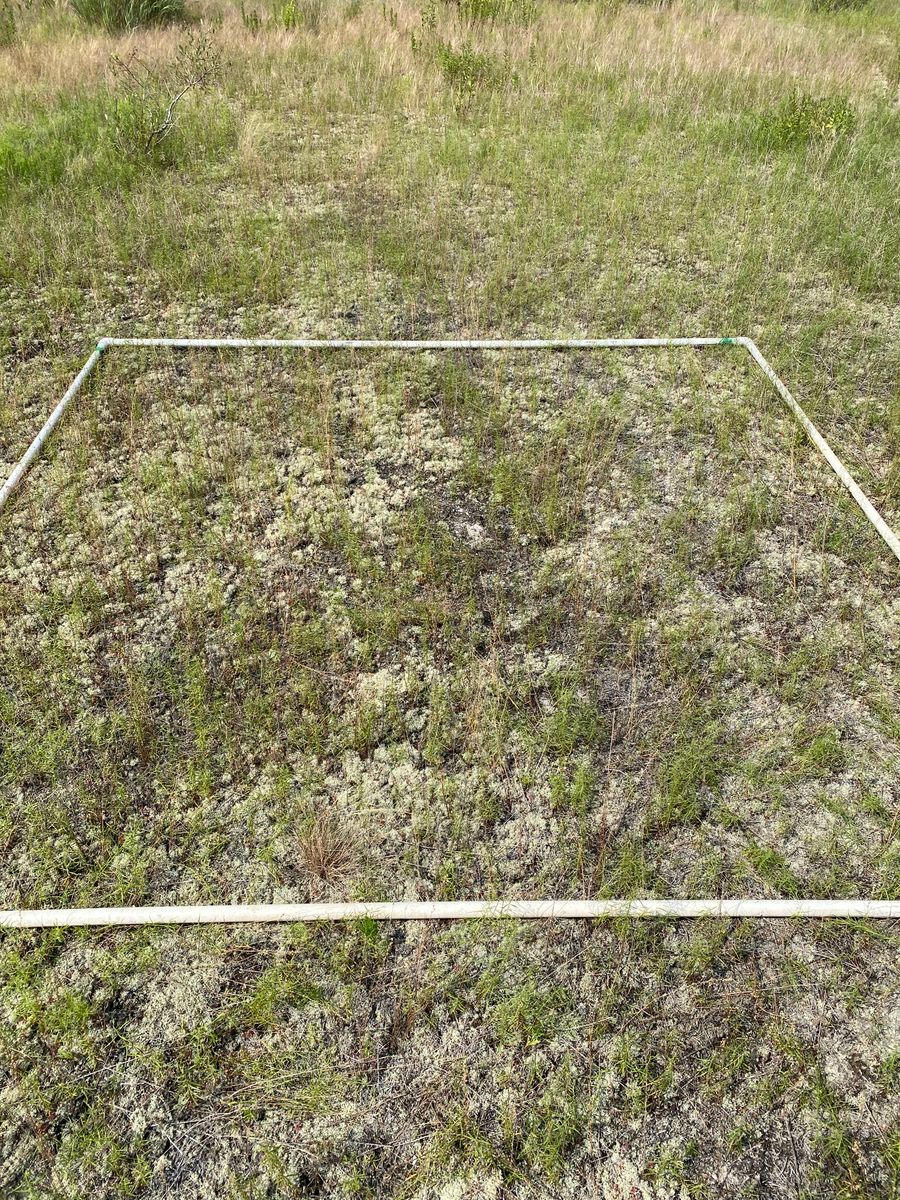 Plot 1227