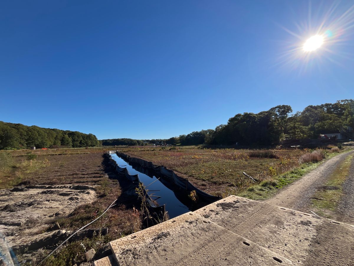 Down