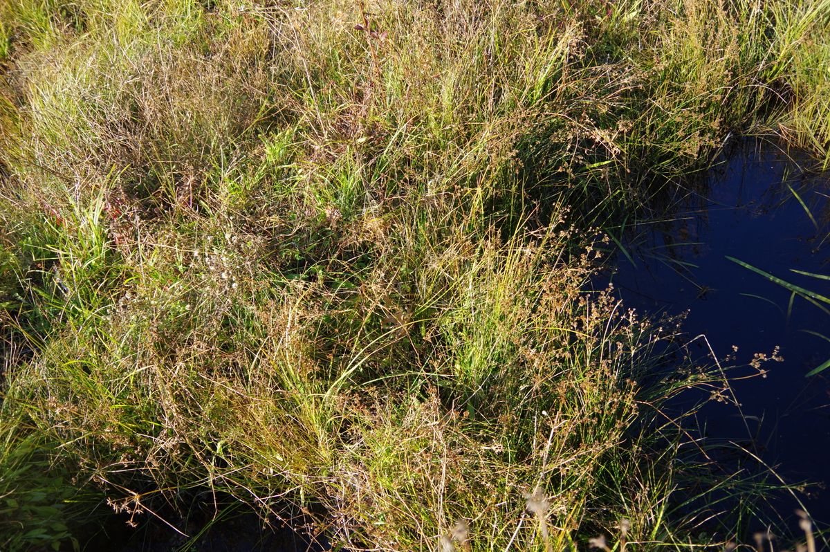 Childs Farley 401 2021