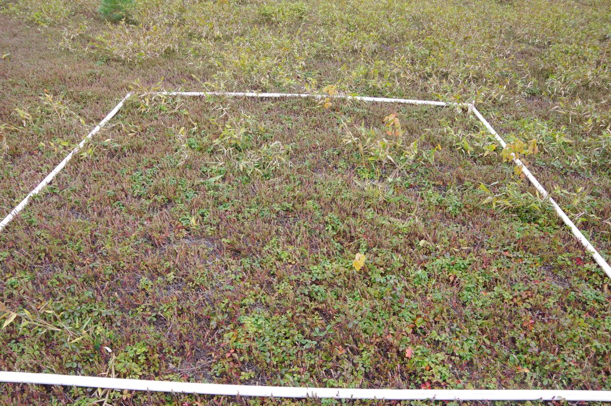 Plot 1410