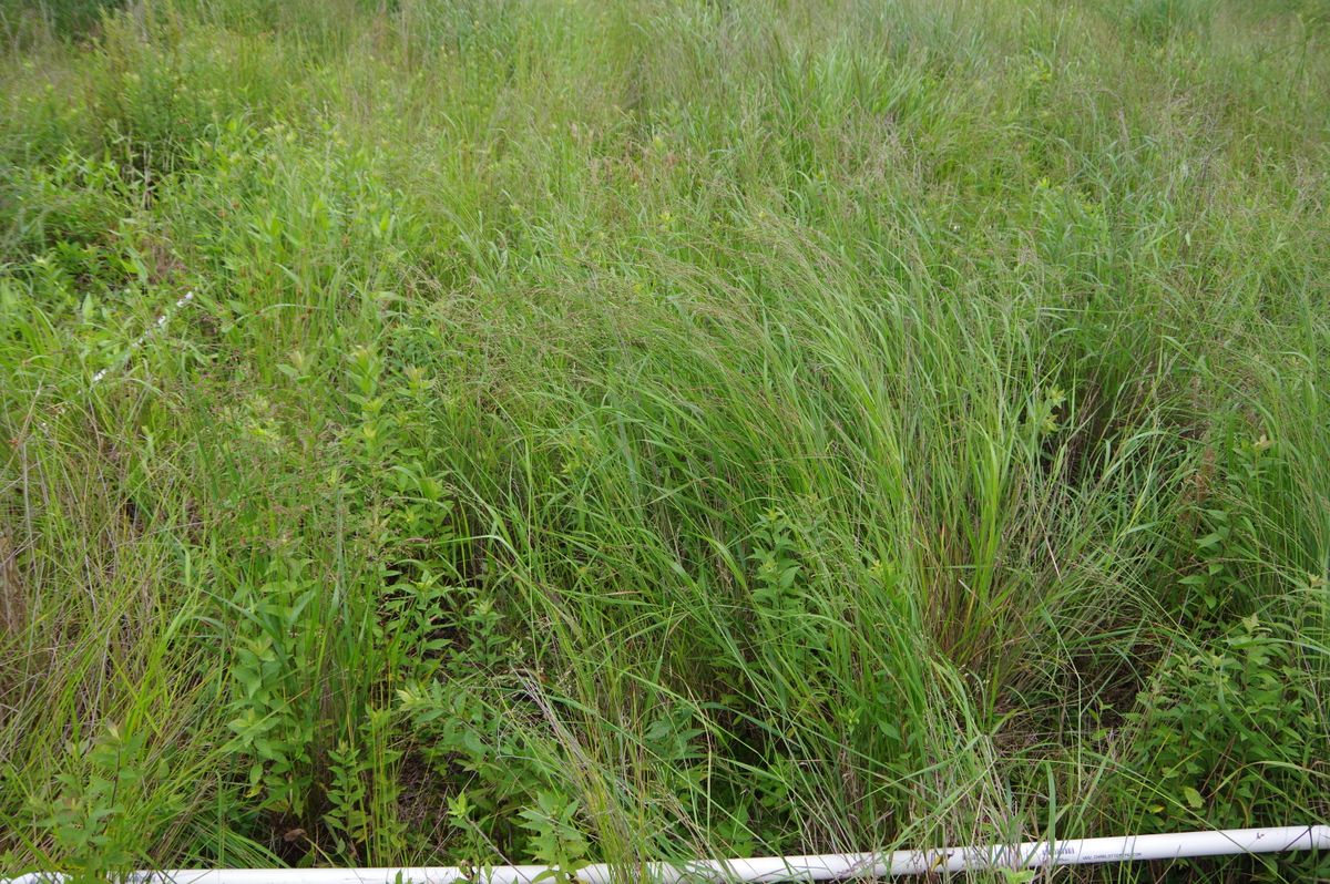 Plot 1206