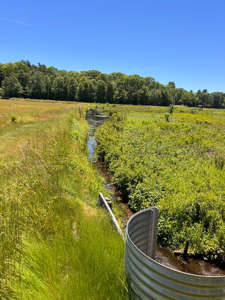 Ditch and berm separating active farm from retired BCWC property