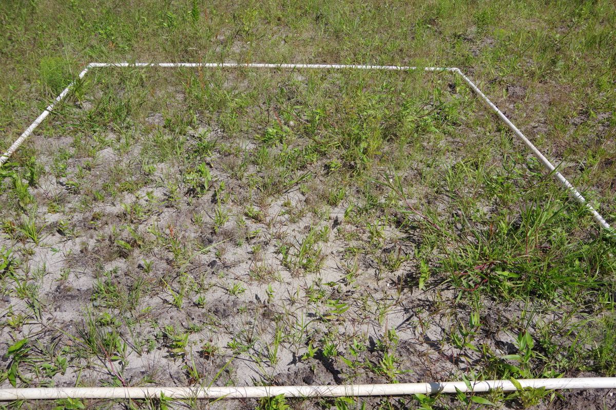 Plot 1225