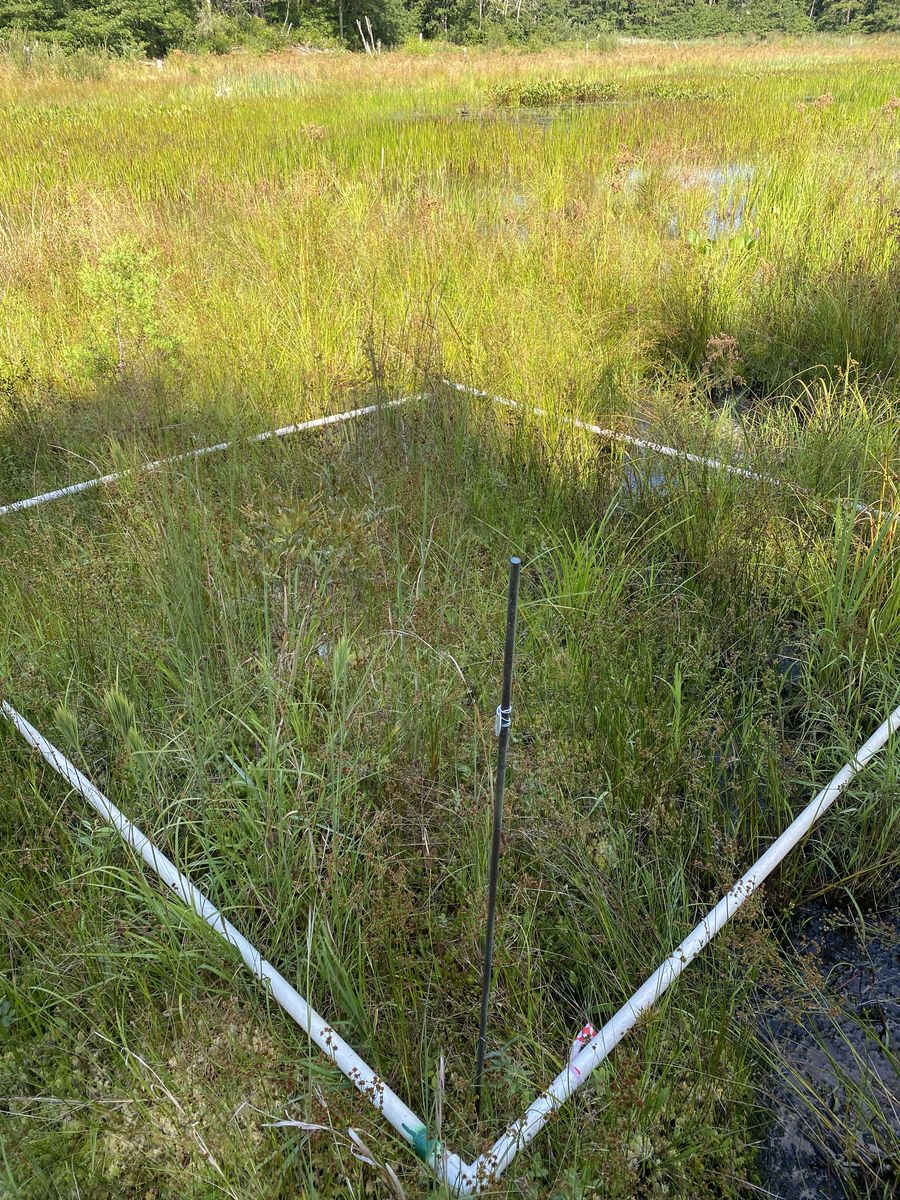 Plot 431