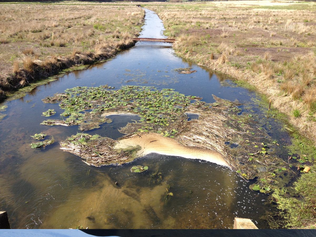 Pre-restoration a concrete spillway orchestrated the water flow from the reservoir into Beaver Dam Brook 