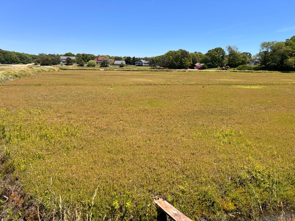 Active farm downstream from CSA