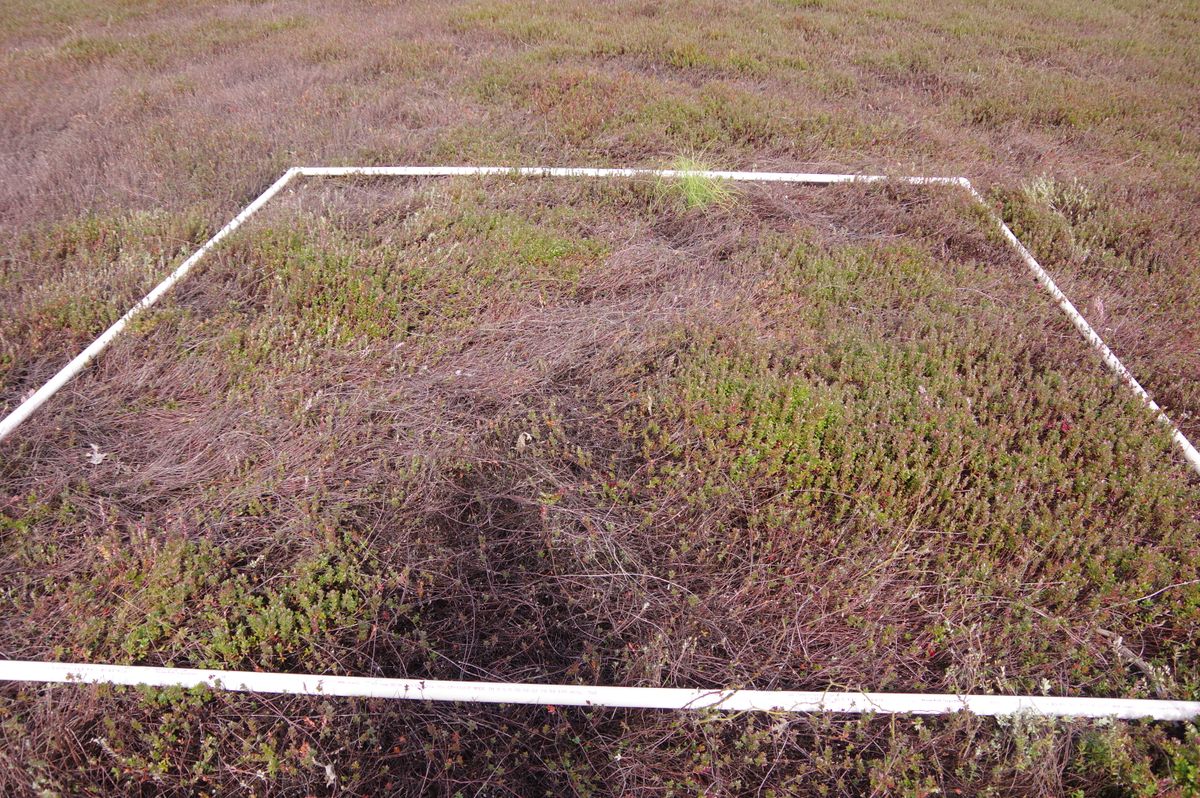 Plot 1501