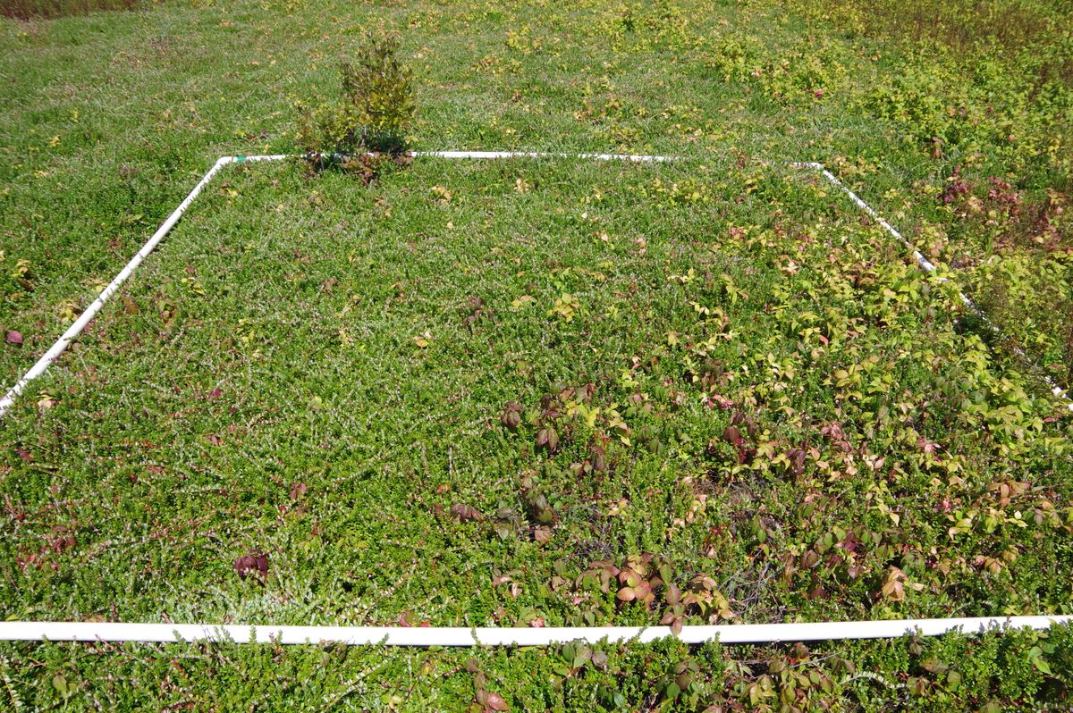 Plot 1803