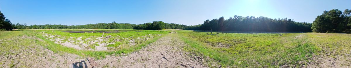 Pinnacle Bogs