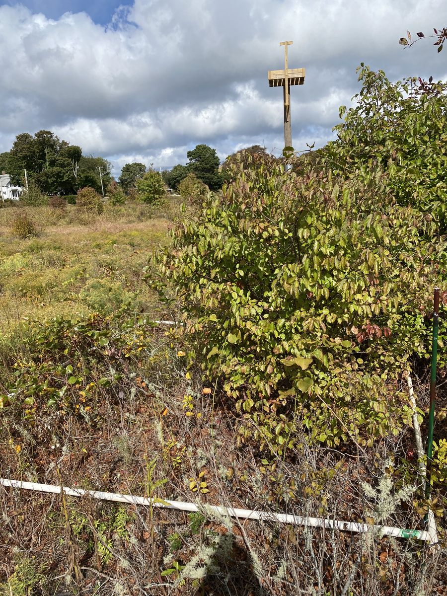 Plot 933