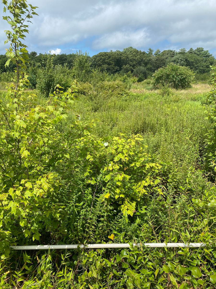Plot 1224